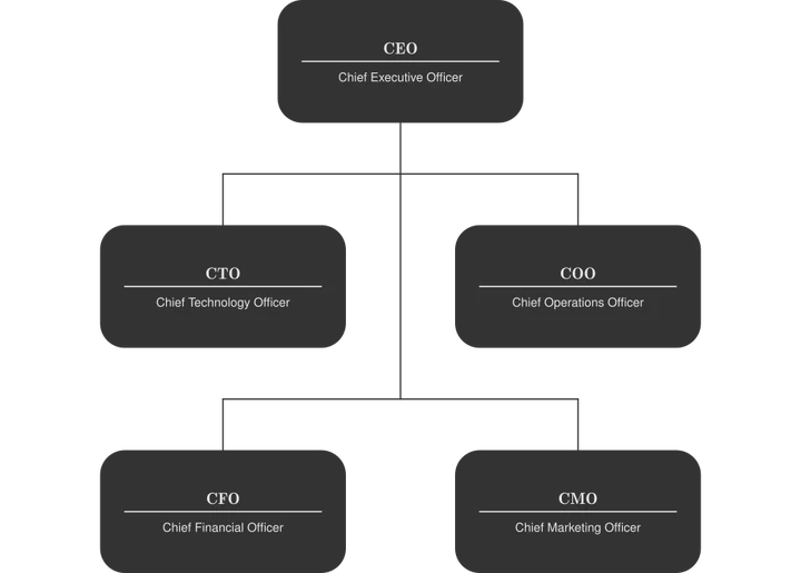 An organisation hierarchy starting with a CEO at the top with CTO, COO, CFO and CMO roles below all connected back to the CEO by lines.