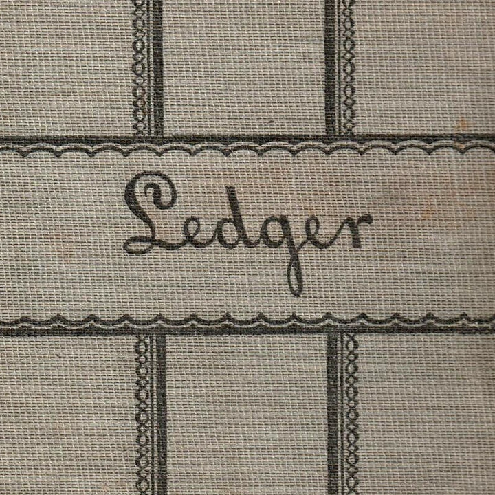 Close-up of the material cover of a book, we see the title 'Ledger' in a handwritten caligraphy style.